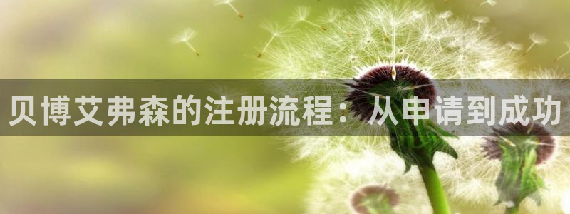 必赢彩网