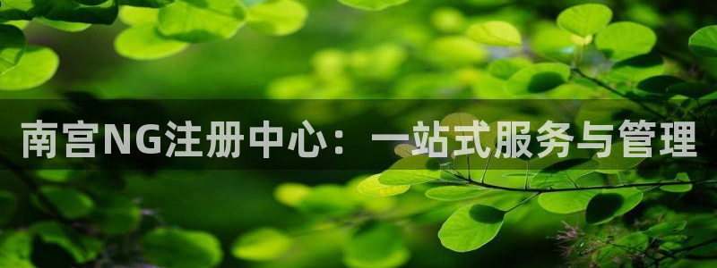 赢彩app下载