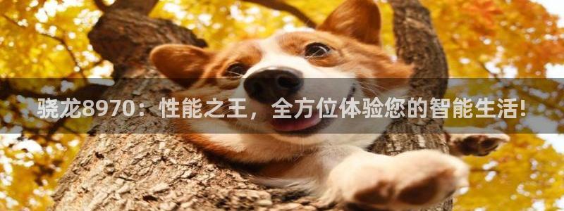 赢彩3d软件