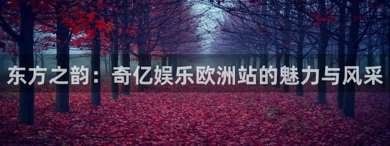 赢彩论坛