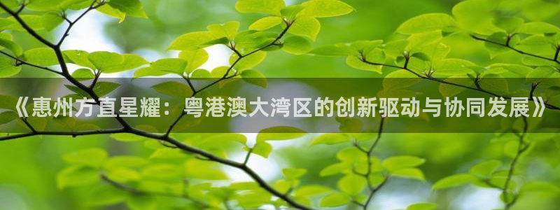 二四六天空彩选好资料赢彩