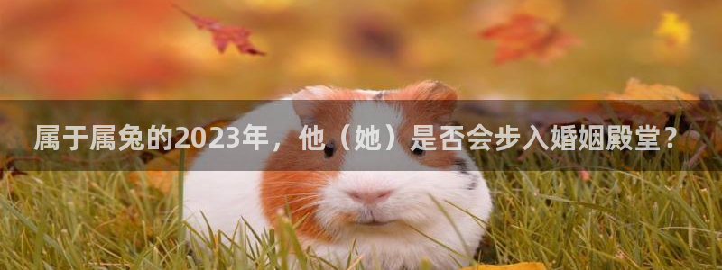 北京赢彩