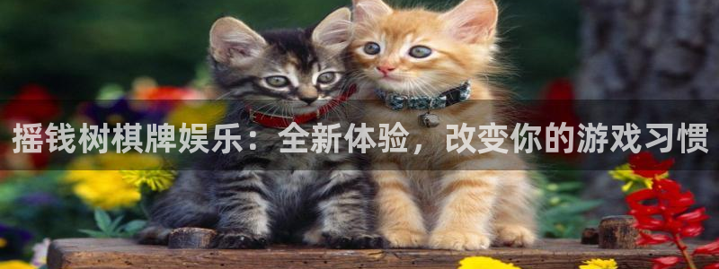澳门赢彩吧859cc赢彩资料