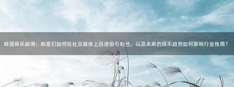 赢彩软件
