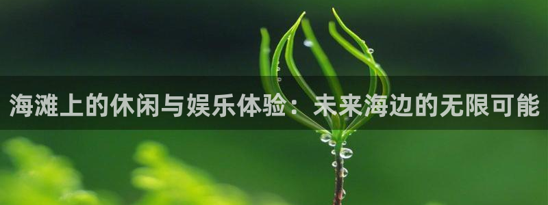 二四六天天下好彩944cc赢彩