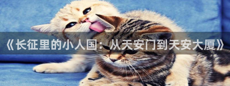 赢彩官方网站