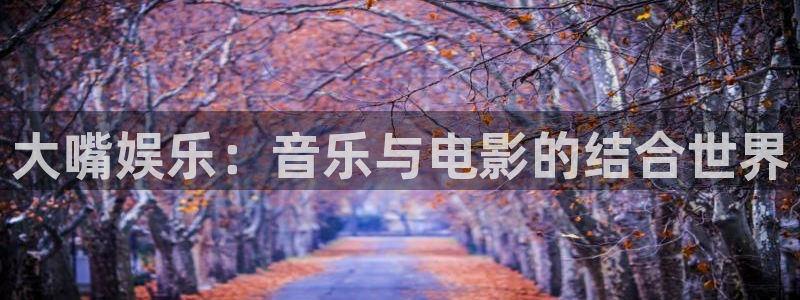 125345赢彩天