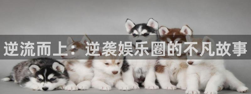 赢彩吧859cc赢彩图文