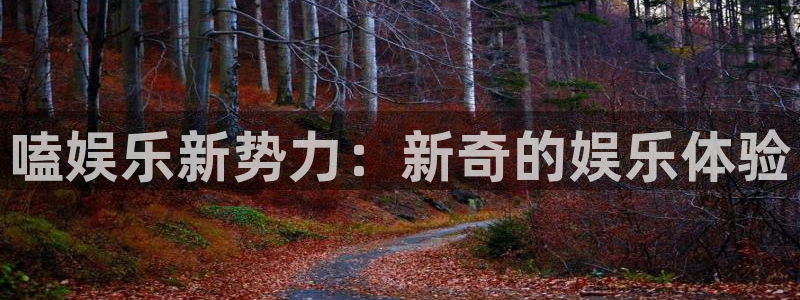 必赢彩网