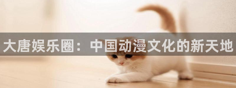 859cc赢彩资料