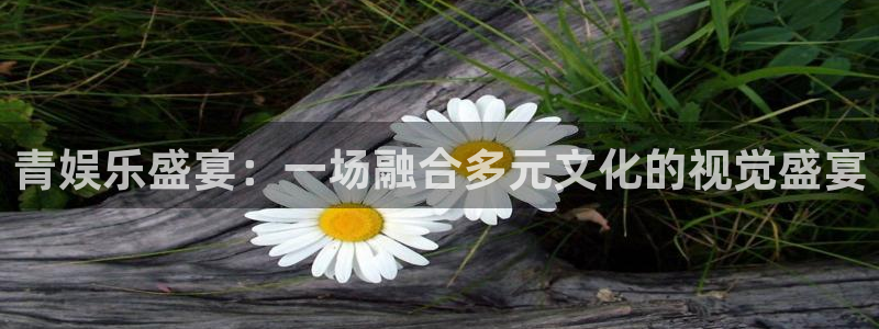 澳门赢彩网