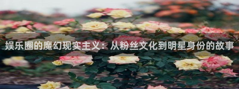 新赢彩