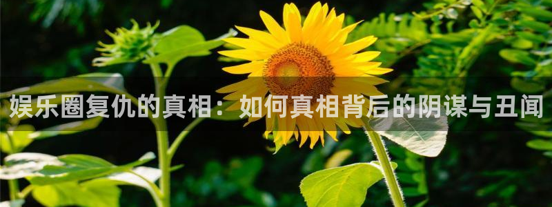 赢彩这个app是不是真的：娱乐圈复仇的真相：如何真相背后的阴谋与丑闻